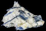 Vibrant Blue Kyanite Crystal Cluster - Brazil #113492-2